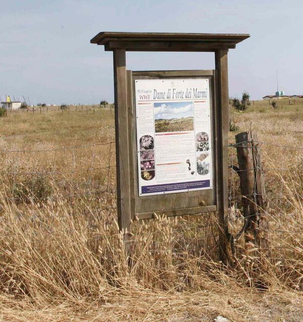 Spiaggia libera senza controllo fino a fine mese