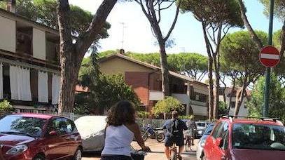 Torna la vecchia viabilità in due strade di Rosmarina