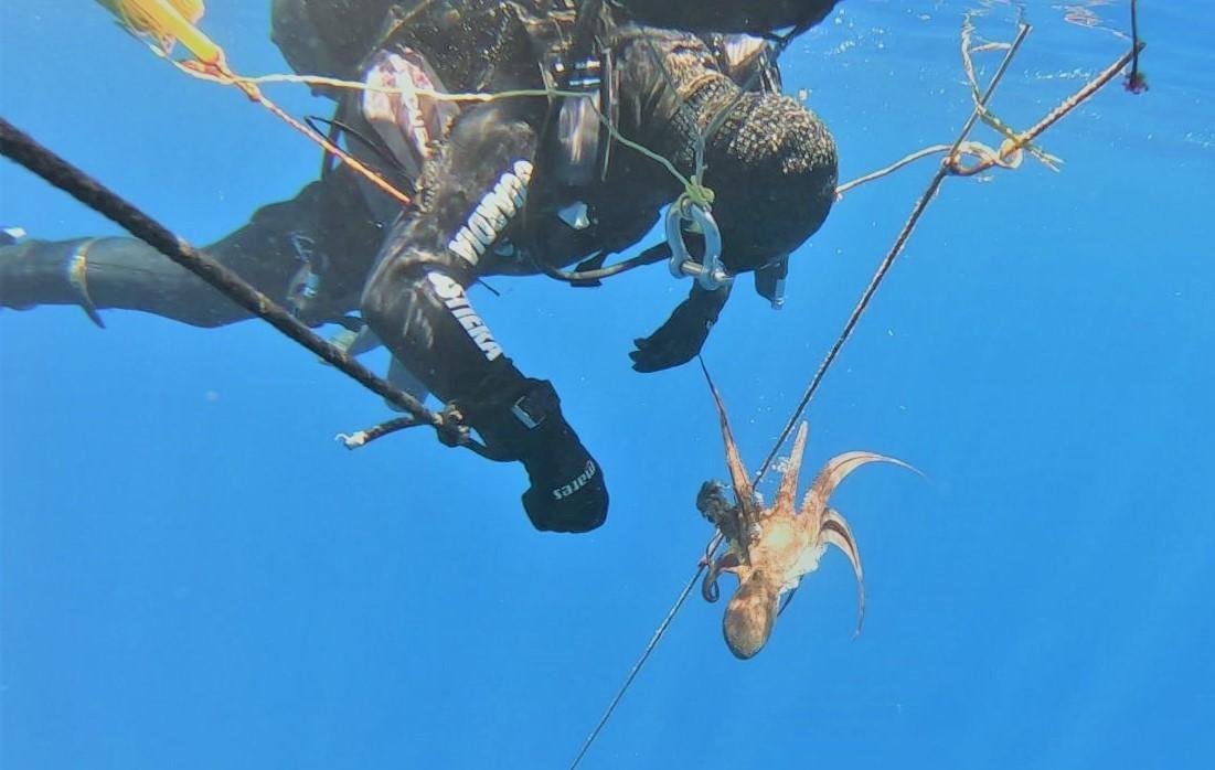 Sequestrate 100 nasse nei fondali di Capo Caccia 