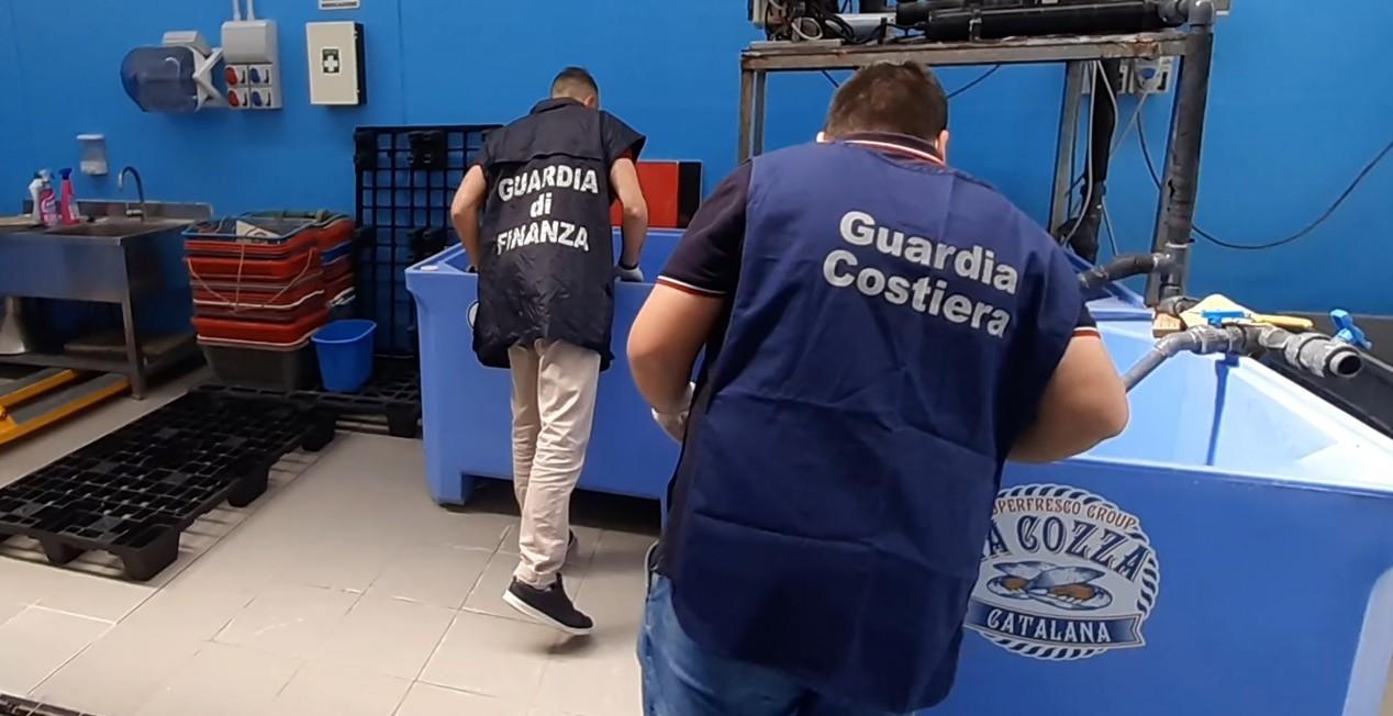 Alghero, traffico di ricci: i ristoratori “complici” della banda 
