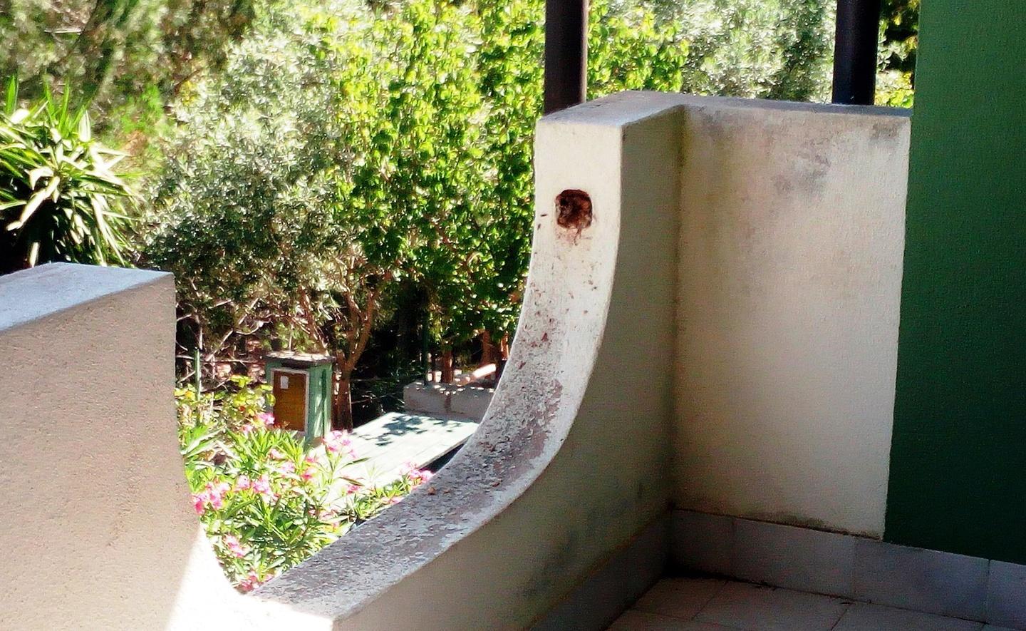 Cede il parapetto in legno 42enne precipita e muore 