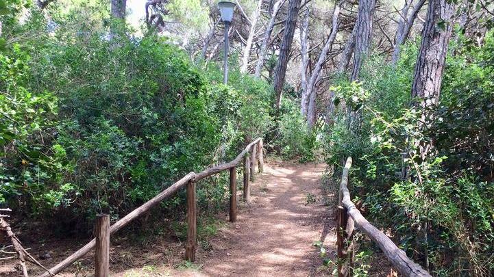 Prima le botte, poi la fuga in pineta: a Marina un’altra rissa di notte tra ragazzi