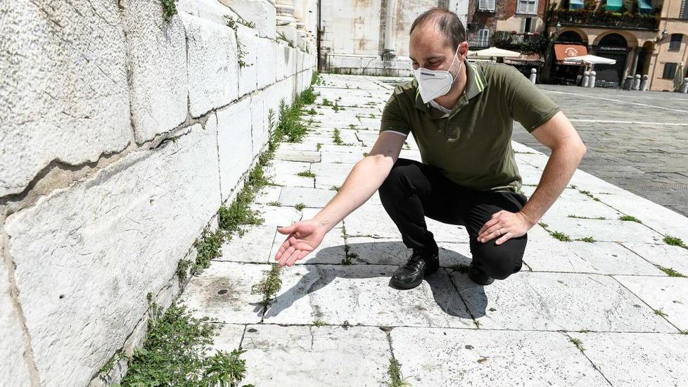 Piazza San Michele, sos per l’incuria: lungo la chiesa è cresciuta l’erba