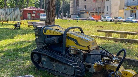 In piazza Ristori via le ceppe dei vecchi pini