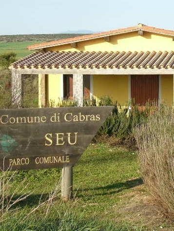 Il Sinis stravolto dalle piante “aliene” 