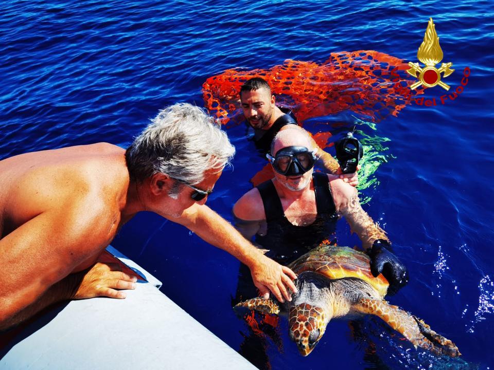 Sommozzatori del vigili del fuoco all'Asinara salvano una tartaruga Caretta Caretta