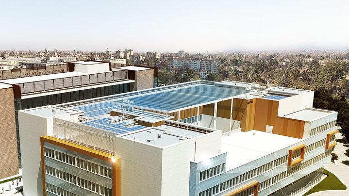 Il Mire di Reggio Emilia