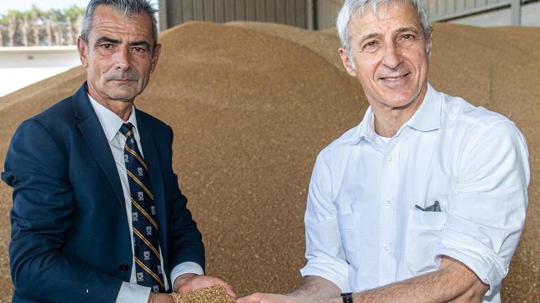 La “nuova pasta” della Barilla nasce dal grano di Capa Cologna
