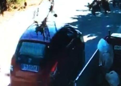 Lancio dei rifiuti: beccato in flagrante 