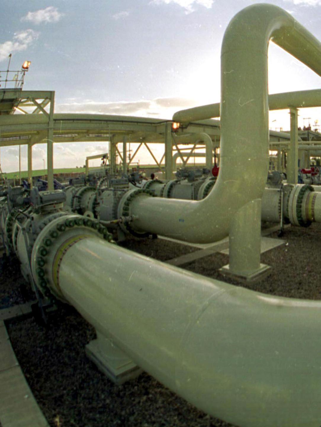 Il Wwf: «L’uscita dal carbone è un’opportunità» 