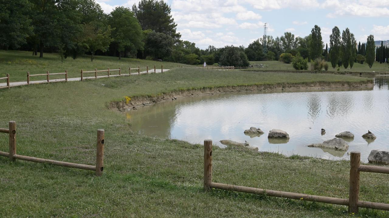 La staccionata danneggiata del laghetto di Serravalle (foto Sestini)