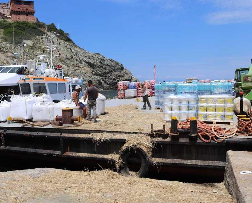 Dieci pecore e 80 galline lasciano Gorgona: addio alle ricotte, solo agricoltura e turismo 