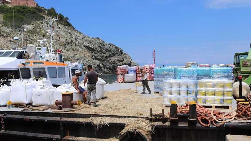 Dieci pecore e 80 galline lasciano Gorgona: addio alle ricotte, solo agricoltura e turismo