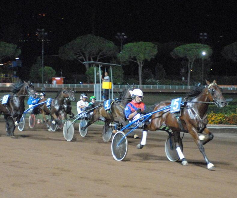 L’Ippodromo Sesana riapre al pubblico per la corsa di sabato 