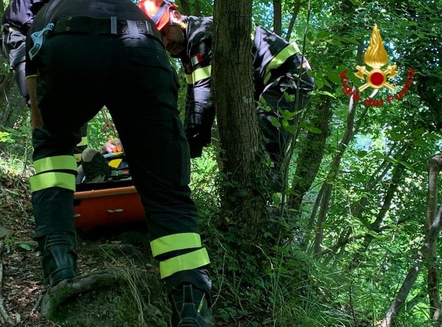 Soccorso nel bosco a Cavarzano per un malore