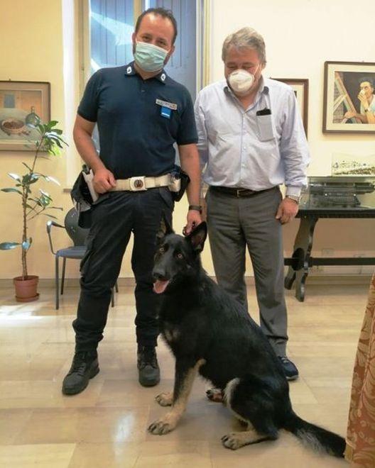 Fait cane antidroga già pronto in servizio