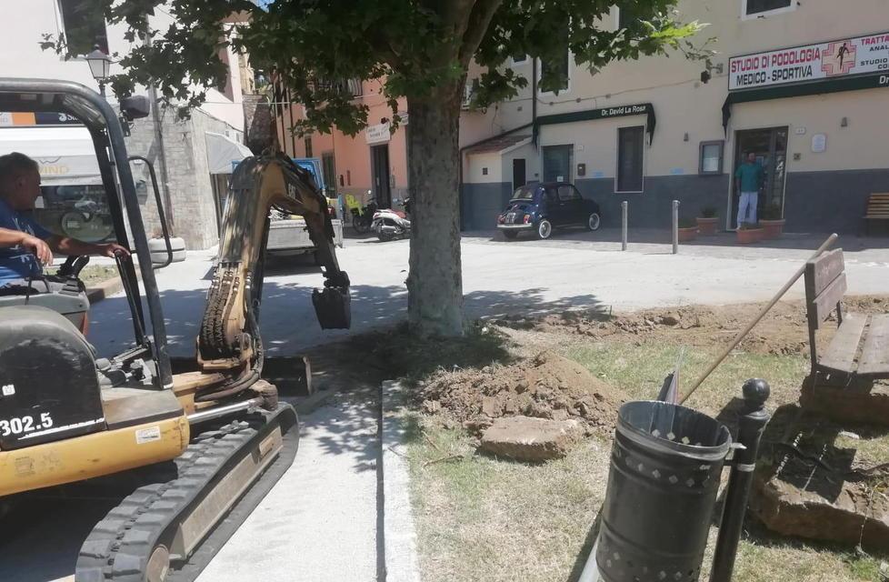 Via i due grandi platani da piazza Vittorio, Legambiente protesta 