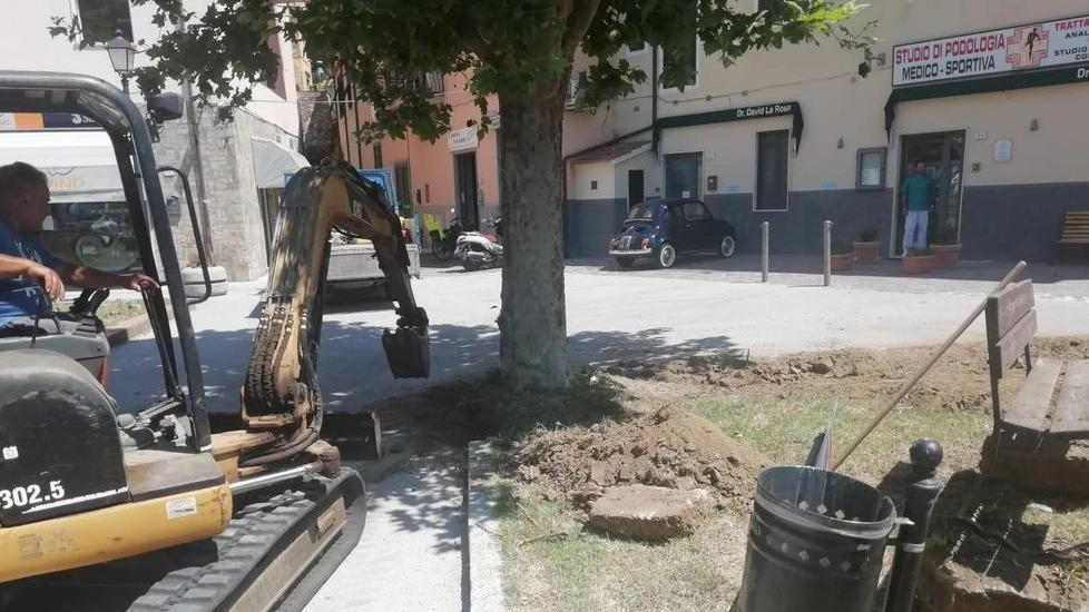 Via i due grandi platani da piazza Vittorio, Legambiente protesta
