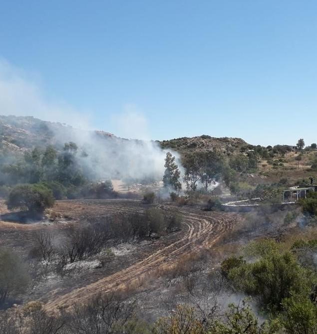 Incendio a Sos Alinos, in fiamme un ettaro di pascolo