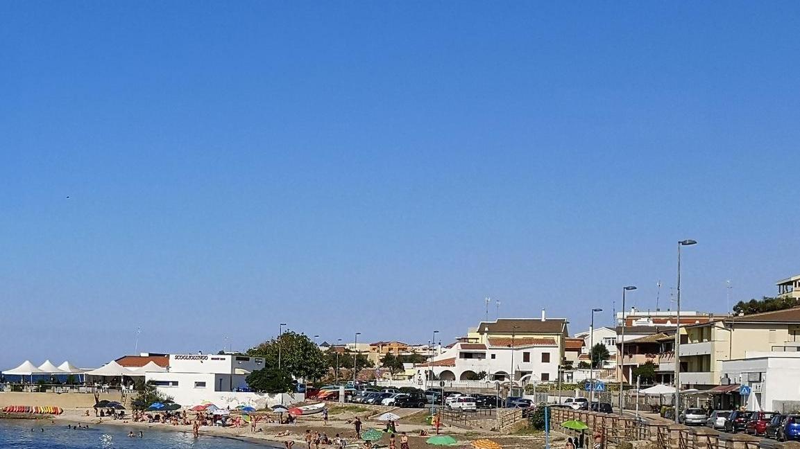 «Bene la spiaggia per gli animali, ma si pensi anche ai disabili»