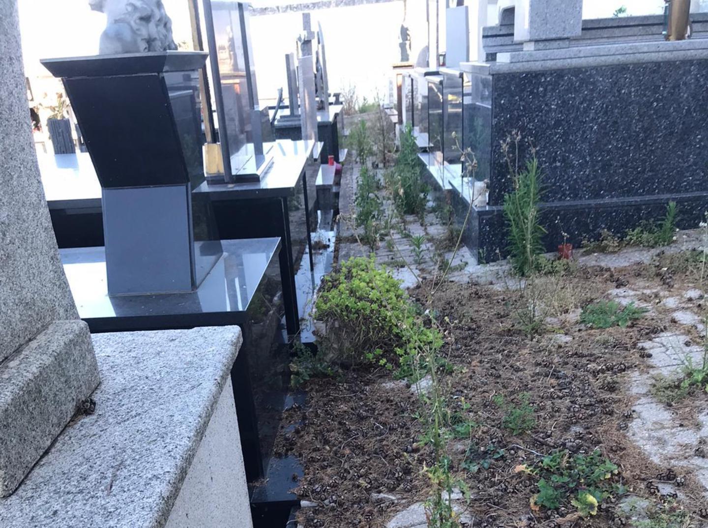 A Cheremule passeggiate in mezzo alle erbacce 