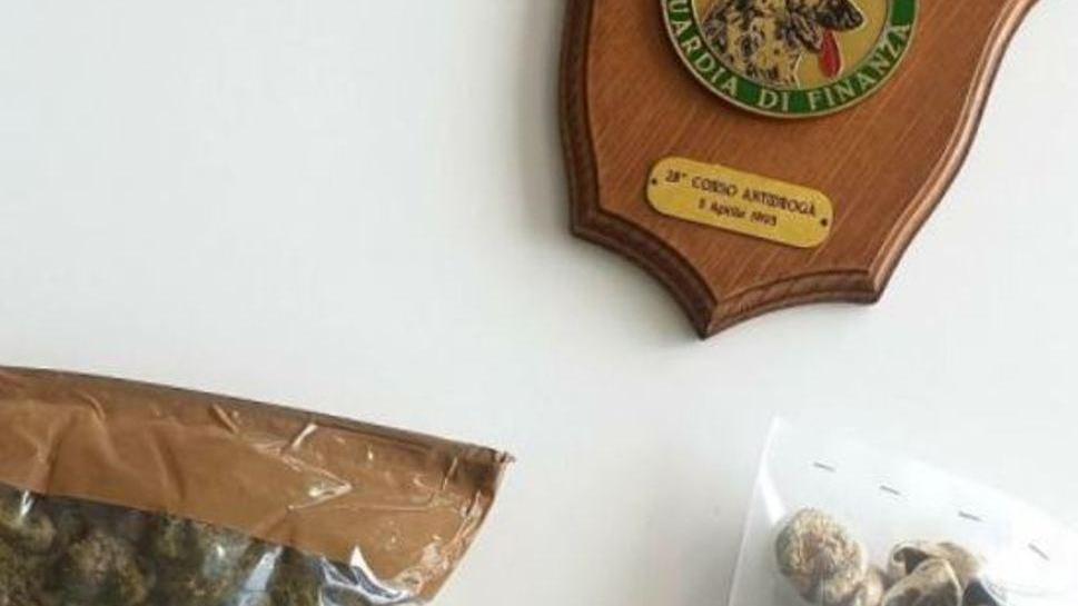 Il gip libera il milionario americano: «Droga per uso personale»
