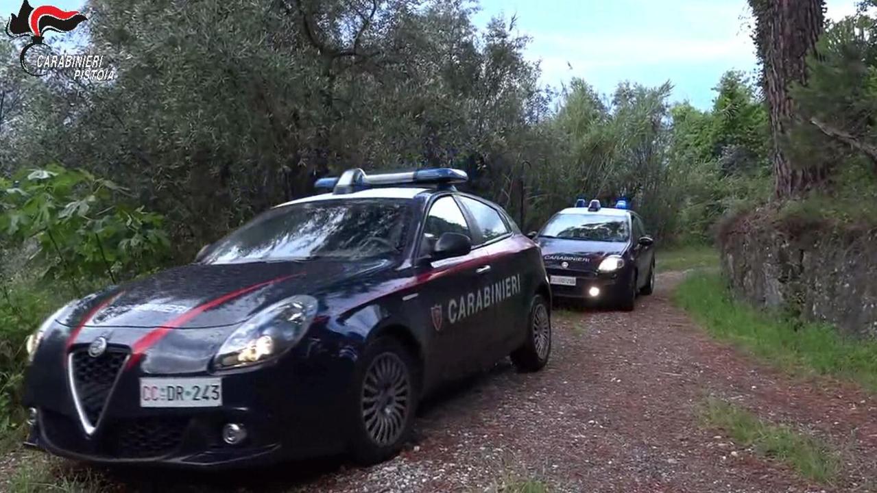 Abusata a 20 anni nel bosco da due amici: indagini dopo un’aggressione