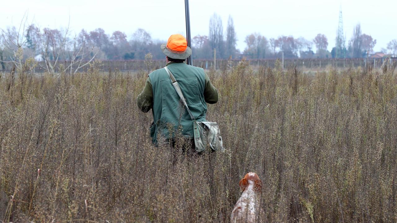 Vezzano, scoperto a cacciare nel giorno di divieto: denunciato