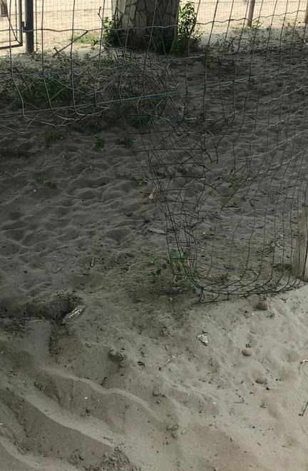 Caos notturno sulla spiaggia Verona: «Situazione fuori controllo» 