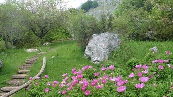 Trovato l’accordo: l’Orrido di Botri riaprirà a metà luglio