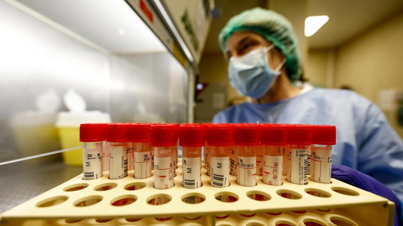 Coronavirus, nessun nuovo caso e nessun decesso a Reggio Emilia