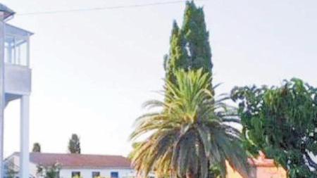 Piombino, annessi agricoli trasformati in abitazioni: le aree passeranno al Comune