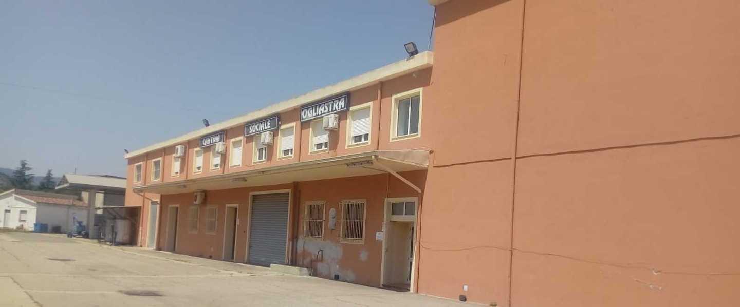 Cantina sociale nel caos: in tre anni persi cento soci 