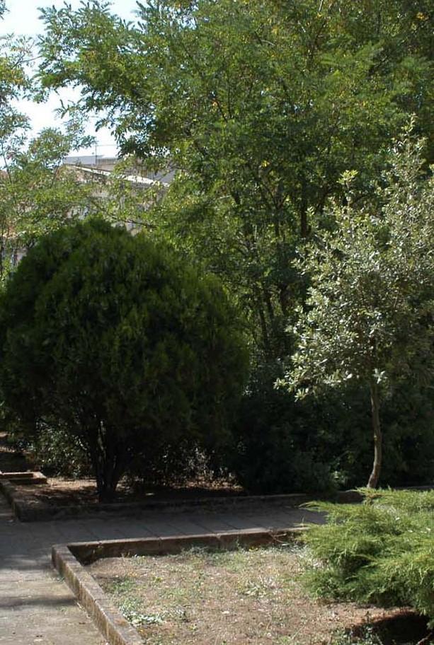 Un concorso premia la cura del verde