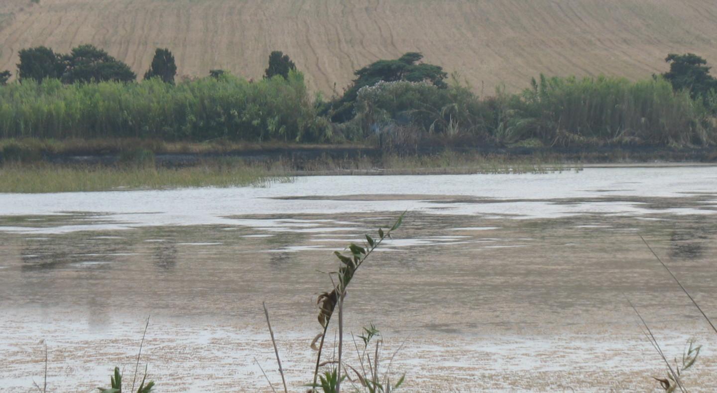 Stagno di Platamona, l’Andalas getta la spugna 