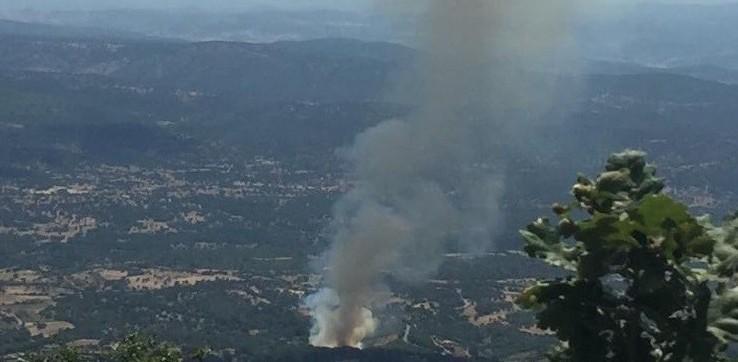 Il vento e i primi caldi alimentano gli incendi 