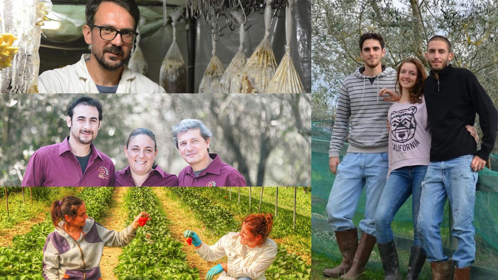 Agribios, Colombini, Circular Farm, Clt e Helix Felix: cinque storie di innovazione nell'agricoltura