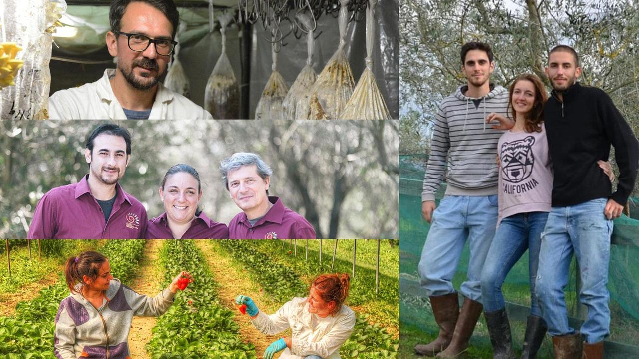 Agribios, Colombini, Circular Farm, Clt e Helix Felix: cinque storie di innovazione nell'agricoltura
