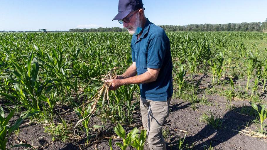 Le aziende agricole chiedono sostegno «L’annata è pessima Ci serve liquidità»