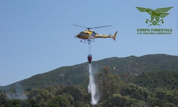 Fiamme nelle campagne di Telti