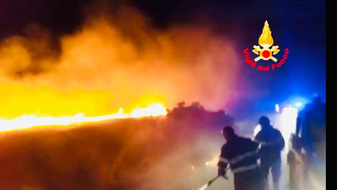 Incendio nella notte lungo la strada per Porto Pollo, macchia mediterranea distrutta