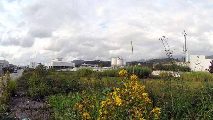 Uno scorcio dell'area ex Farmoplant a Massa