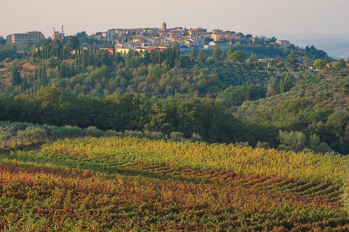 Una bella veduta di Montaione nel sito montaioneintuscany.it