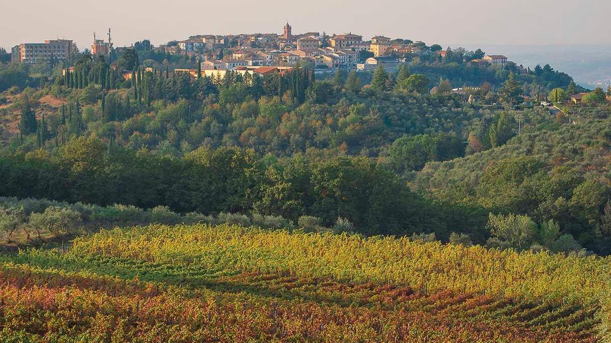 Una bella veduta di Montaione nel sito montaioneintuscany.it