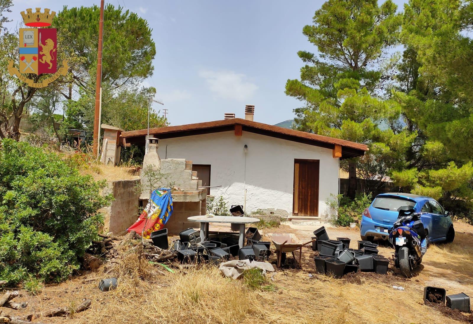 Coppia viveva in campagna a Sinnai e coltivava cannabis: in cella