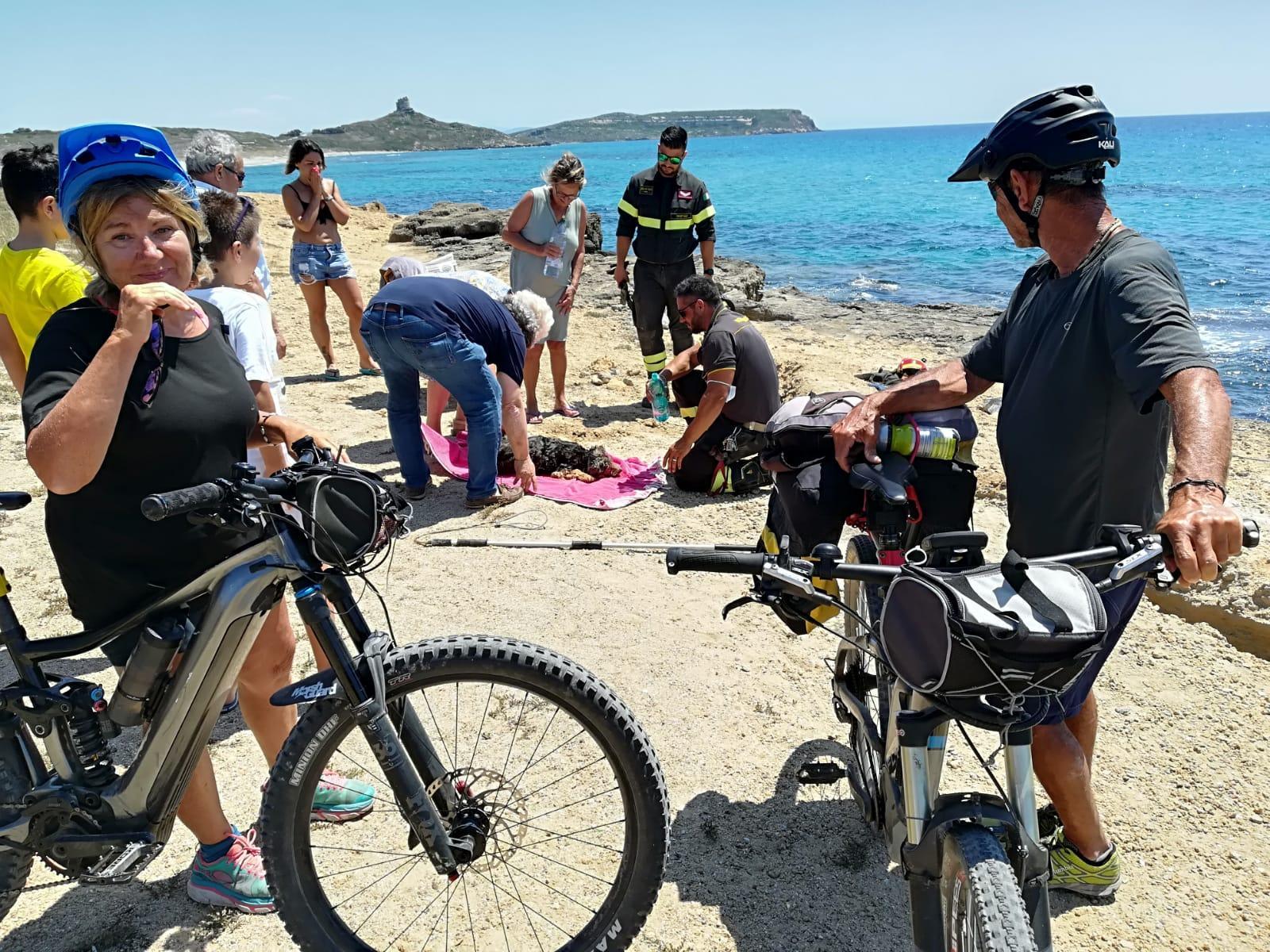 Guaiva prigioniero nelle rocce di San Giovanni di Sinis: cagnolino salvato dai vigili del fuoco