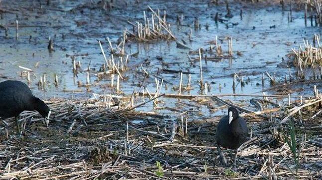 «Sul Lago di Porta bene l’attenzione del Ministero»