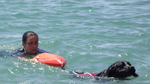 Nei fine settimana sulla Costa est anche i cani-bagnino