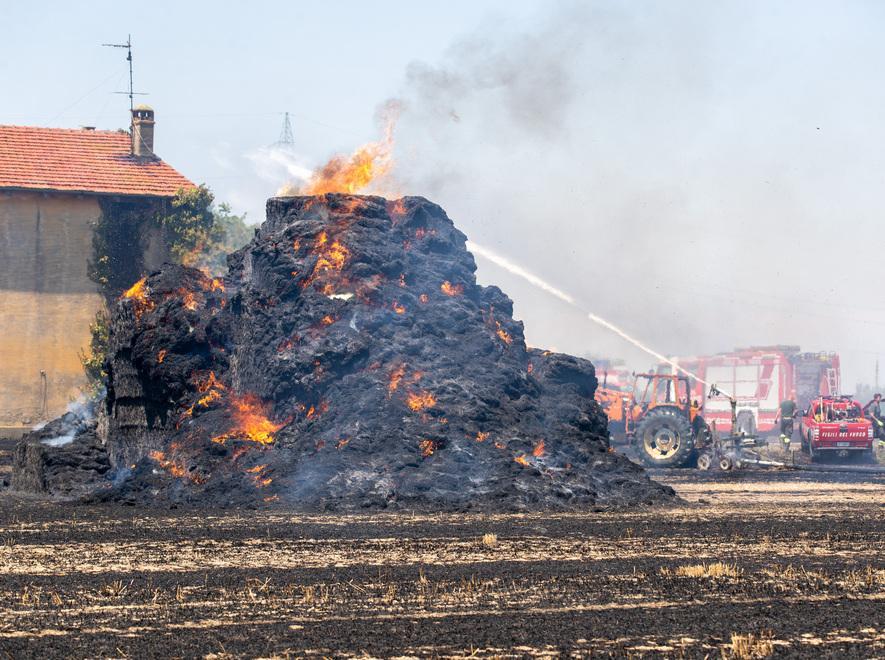 Incendio devasta dodici ettari di campi di grano
