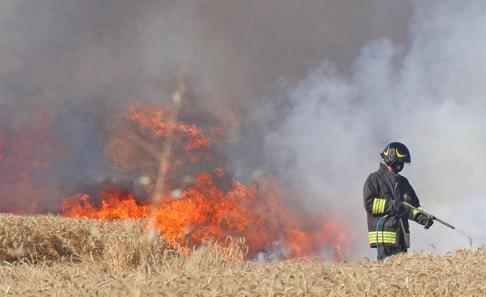 A fuoco 20 ettari coltivati a grano 